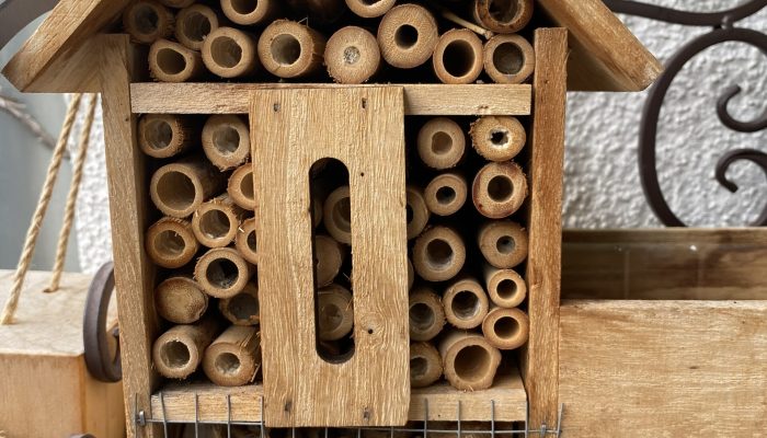 Insektenhotel aus Holz und Erdnussschalen